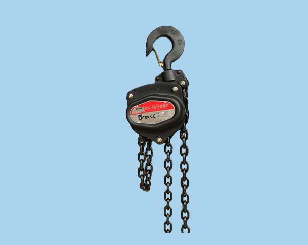 Anti-overload hand chain hoist