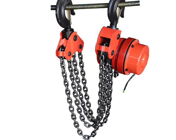 Group hanging hyacinth